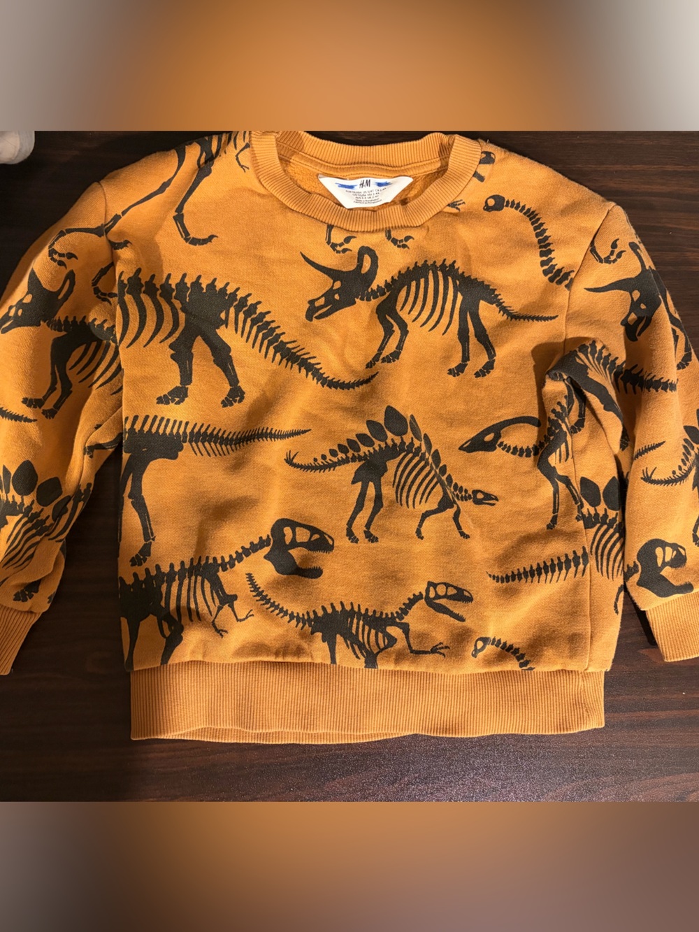 Kids' Dark Orange Dinosaur Skeleton Sweater